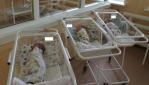 Сегодня в ГУЗ "Перинатальный центр Саратовской области" родилась первая тройня
