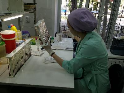 В Энгельсской городской поликлинике № 3 – масштабное обновление лабораторного отделения
