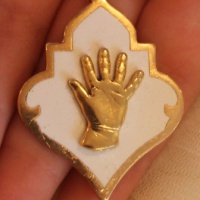 Лео Бокерия поблагодарил за вручение ему почетного знака детского признания «Орден Ладошки»