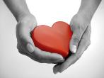 Состоится слет доноров «От сердца к сердцу»