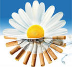 31 мая - Всемирный день без табачного дыма