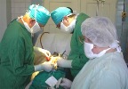 В Саратовской области необходимо развивать службу трансплантологии